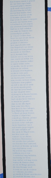 RAVEEL Roger - De blomme