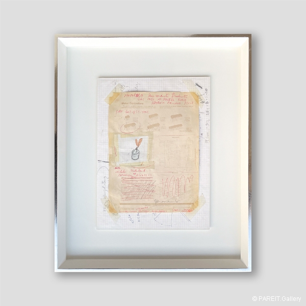 PANAMARENKO - Studie voor Encarsia Formosa