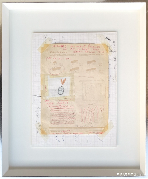 PANAMARENKO - Studie voor Encarsia Formosa