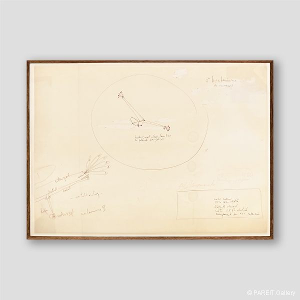 PANAMARENKO - Ijsvogel