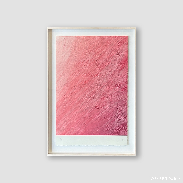 ESCUDERO Juan - Pink Floyd