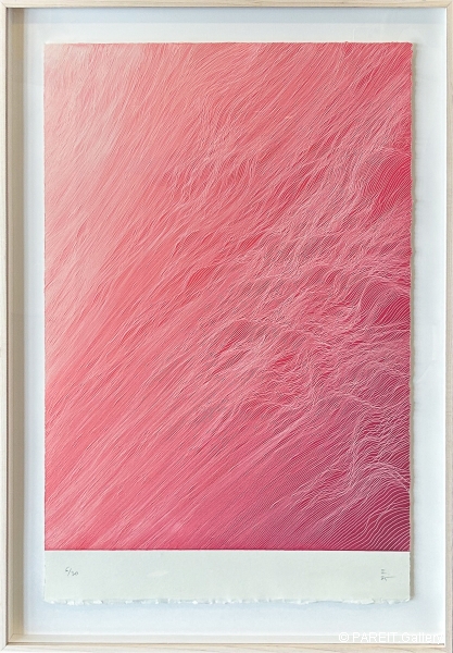 ESCUDERO Juan - Pink Floyd