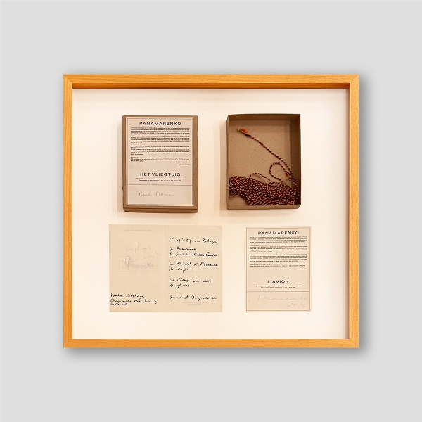 PANAMARENKO - The airplane