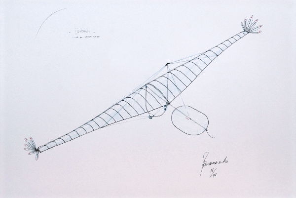 Panamarenko - Ijsvogel