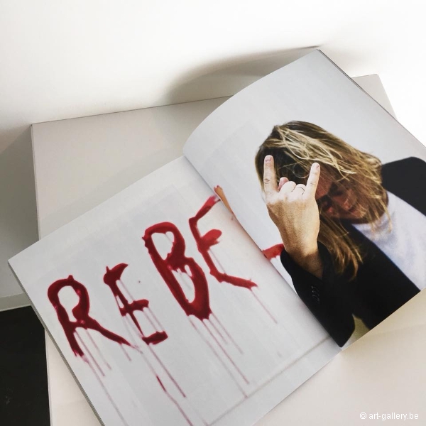 VANDERPERREN Klaas - Because art can be fun, biatch